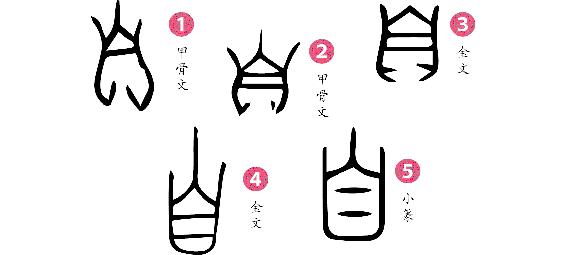 自