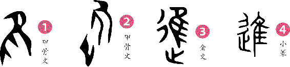 进