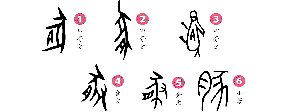 豚